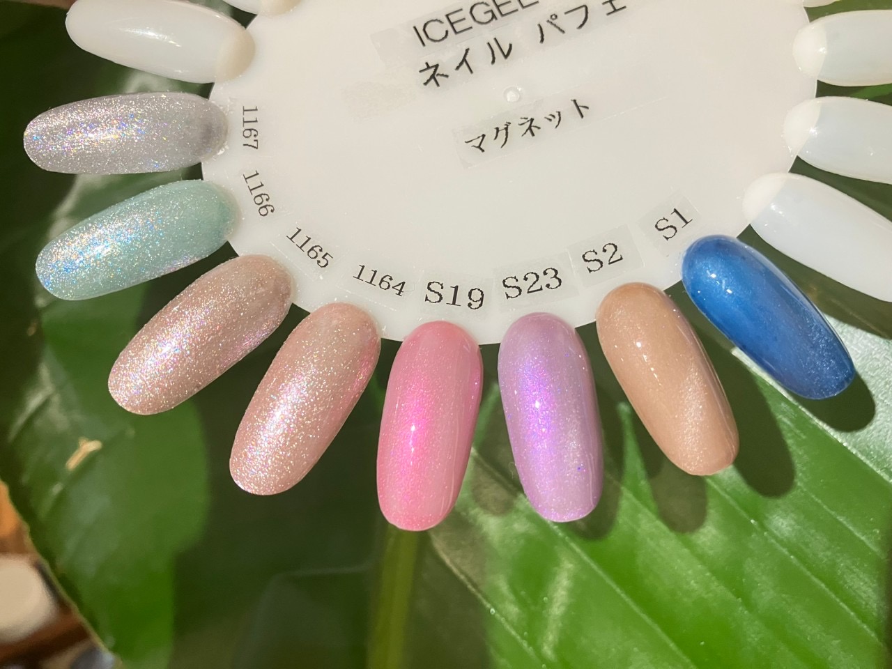 ９月末までお得 マグネット ネイルキャンペーン 大好評です 昭島ネイルサロン ネイルサンセット